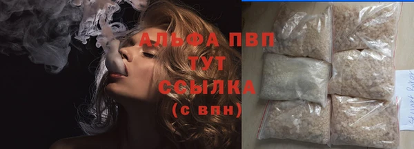 PSILOCYBIN Дмитров